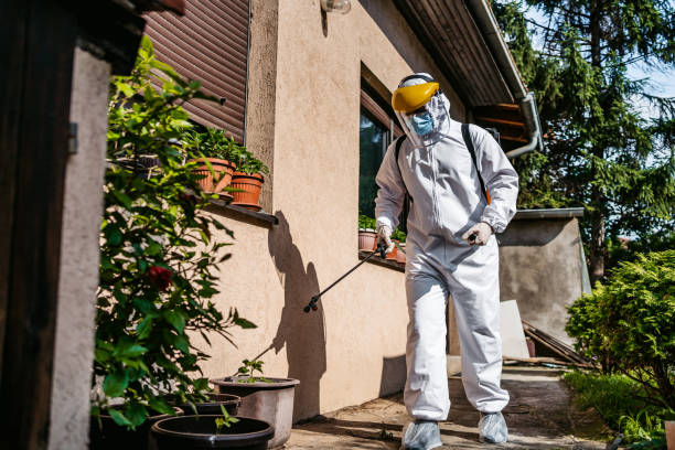 Best Exterminator Services  in Bowleys Quarters, MD