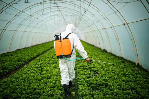 Best Best Pest Control Companies  in Bowleys Quarters, MD