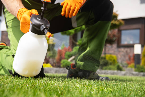 Best Pest Control for Restaurants  in Bowleys Quarters, MD