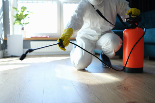 Best Mosquito Control Services  in Bowleys Quarters, MD