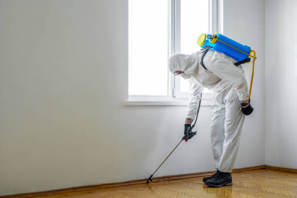 Best Commercial Pest Control Services  in Bowleys Quarters, MD