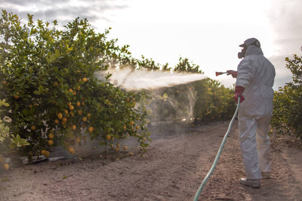 Best Affordable Pest Control Services  in Bowleys Quarters, MD