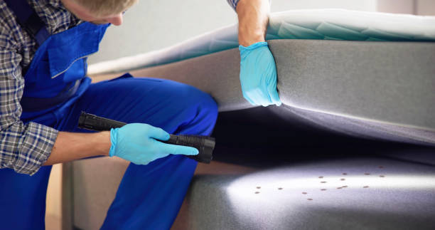 Best Emergency Pest Control  in Bowleys Quarters, MD