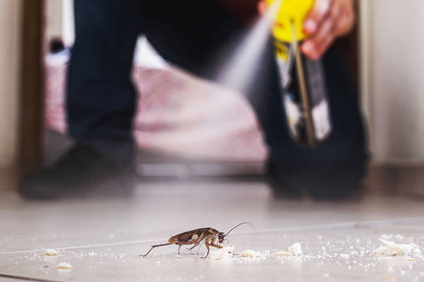 Best Wildlife Control Services  in Bowleys Quarters, MD