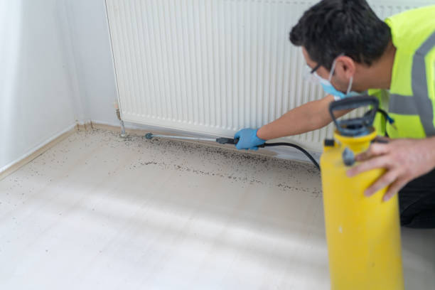 Best Residential Pest Control  in Bowleys Quarters, MD