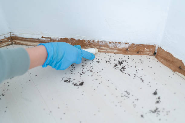 Best Pest Removal Services  in Bowleys Quarters, MD
