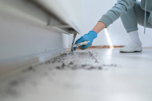 Best Bed Bug Extermination  in Bowleys Quarters, MD